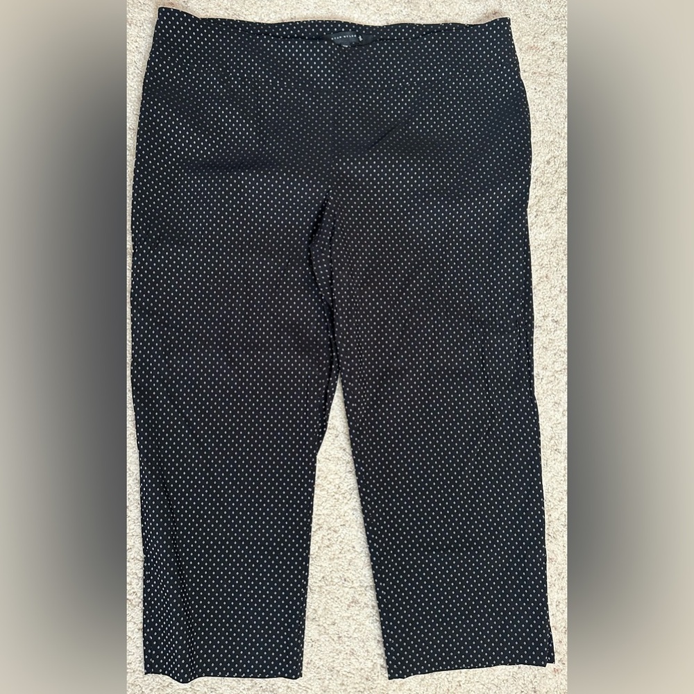 Ryan Wylde Dot Pattern Capri Pants NWOT | Stretchy & Chic 24W